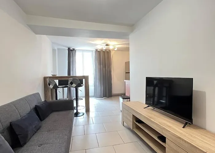 Appart Du Bourg 2 Chambres Olivet Centre