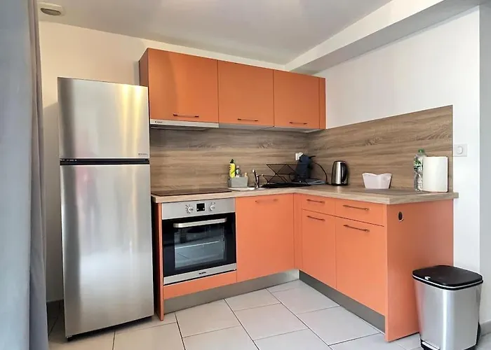 Appart Du Bourg 2 Chambres Olivet Centre